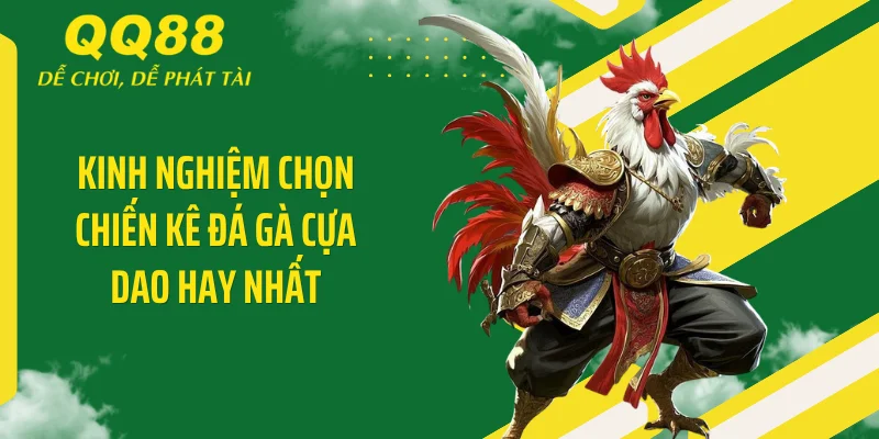 Đá Gà Cựa Dao QQ88 - Đỉnh Cao Sát Phạt, Sinh Tử Phút 89 4 Kinh nghiệm chọn chiến kê đá gà cựa dao hay nhất