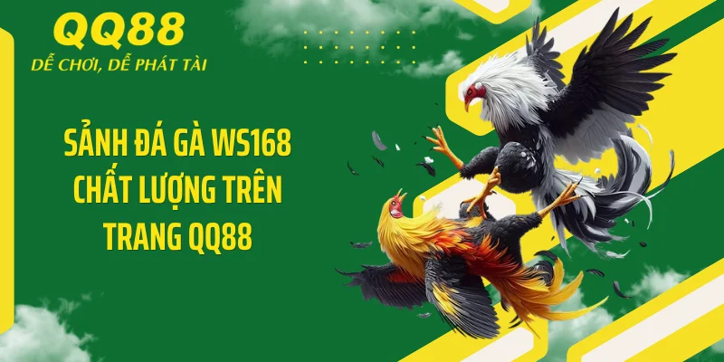 Sảnh đá gà WS168 chất lượng trên trang QQ88